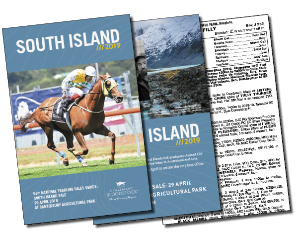 NZB's 2019 South Island Sale catalogue is now online and in mailboxes soon.